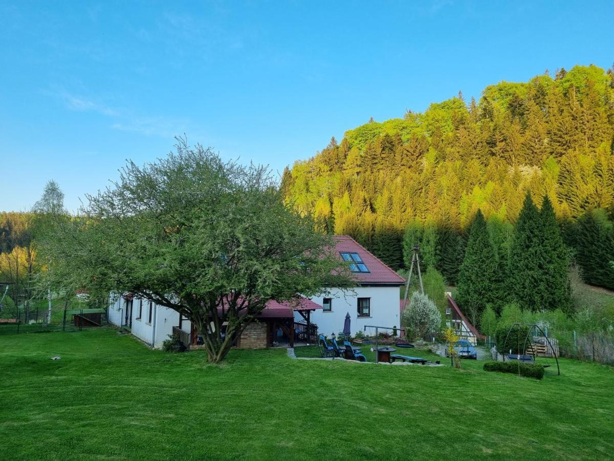 Bed and Breakfast Dom Supelek Душники-Здруй Экстерьер фото