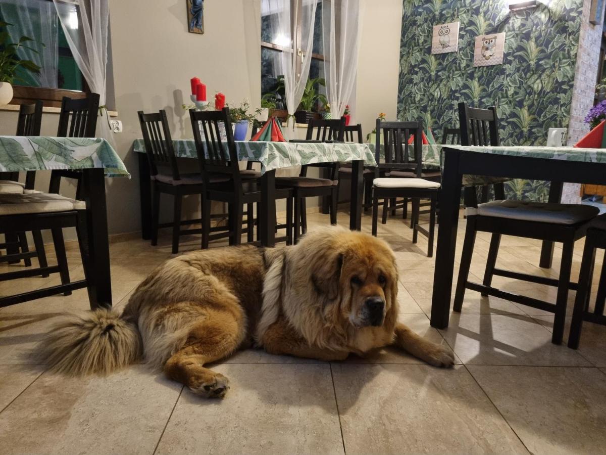 Bed and Breakfast Dom Supelek Душники-Здруй Экстерьер фото